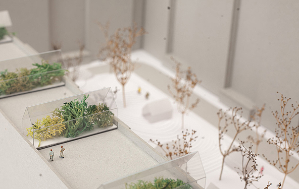 EAL kuraatorinäitus LASN